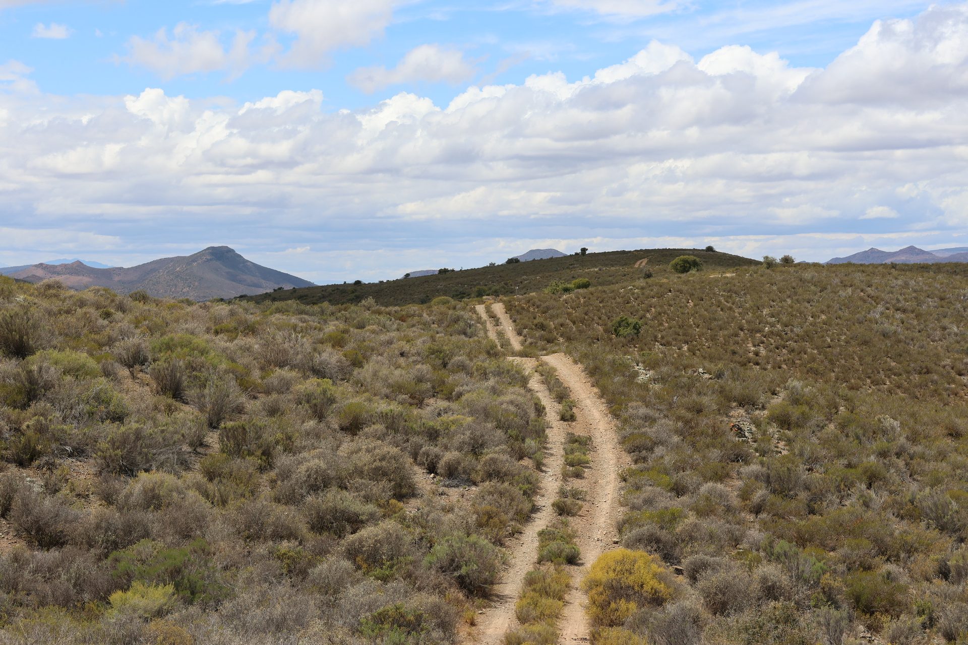Endless Karoo landscape with mountain views